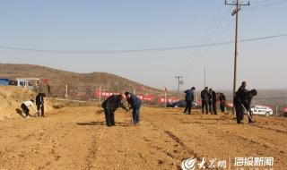 我国最大的地震是那次啊 莒县大地震